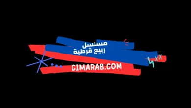 مسلسل ربيع قرطبة – دراما تاريخية تجسد فترة ازدهار الحكم الإسلامي في الأندلس.